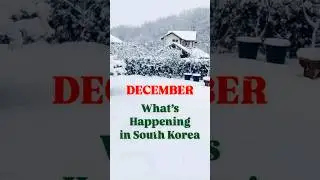 What&rsquo;s Happening in December across South Korea