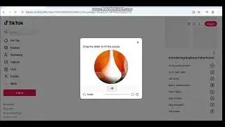 Automate TikTok Scraping: Save Comments & Captions to CSV 