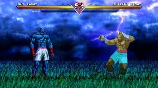 EVIL SAGAT vs SUPREME SAGAT - High level insane fight❗