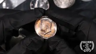 APMEX UNBOX BU 1964 P/D HALF DOLLARS AND A SILVER EAGLE!