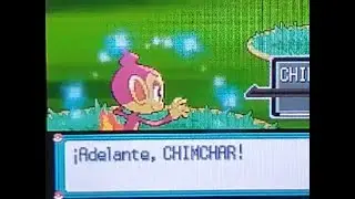 *Live* Shiny Chimchar en Pok&eacute;mon Platino tras 3,145 resets