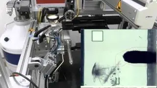 Automated harvesting and processing of protein crystals through laser photoablation. 2