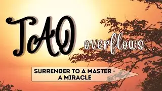 Tao Overflows - Surrender to a Master, a Miracle