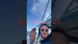 FISH SLAP!! Double trouble!! #fishslap #fishing #fishtv #boat