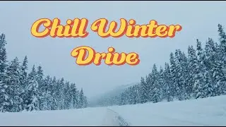 Chill Winter Drive | Snow, Pines, and Misty Mountains 🌨️🌲🏔️
