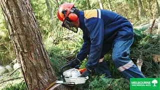 Tree cutting services Narre Warren