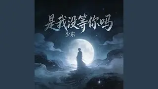 是我没等你吗
