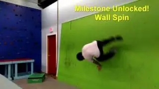 1st Year Training Progress and Milestones (2016)