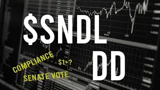 $SNDL stock DD & Technical analysis - Stock overview (5th Update)