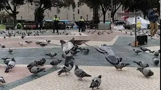 Galaxy S9 Super Slow-mo Sample 1