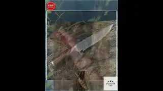 Crucifier Original Bowie Knife with Exotic Rosewood Handle