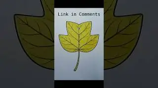 Coloring a Tulip Tree Leaf 🍁 | Calm, Satisfying, No Talking