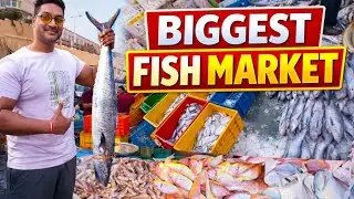 Mumbai Biggest Fish Market 2026 | CSMT Fish Market | Wholesale & Retail Fish Market CST Fish Market