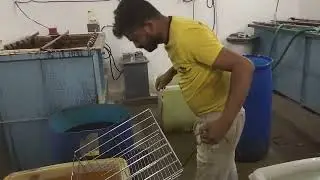 nickel chrome plant for kitchen basket. mfg rectifier and electroplating plants 9879729295 ahmedavad