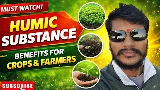 Humic Substance क्या है?Crop Growth, Soil Health & Yield Boost।फसल और मिट्टी के लिए रामबाण उपाय 🌱