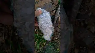 uma pedra descoberta na estrada