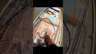 Bass bites big worm! #killaoutdoors #bass #bassfishing #Texas #worm #bigbass #fy #fyp #2025