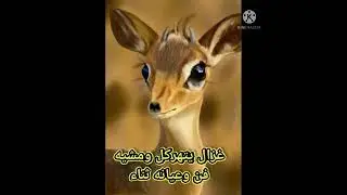 غزالي يتهركل ومشيه فن وعيانه ثناء.. ماشفت مثله ف الكريبيه ولاف الجابيه قصيدة عبدالله بن شامت الخليفي