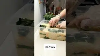 #рецепты #квашеная #капуста #закуска