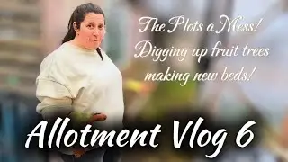 Allotment Vlog 6 | December tasks | fruit trees, strawberries and removing netting #newvlog 