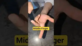 Hand Parts Vocabulary Explained with Real Demo | Palm, Fingers, Thumb & Wrist #LearnEnglish #ESL