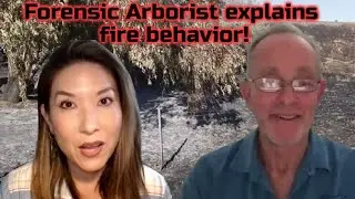 What's CAUSING These WEIRD Fire Burn Patterns?  Forensic Arborist Robert Brame explains
