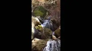Five Springs Falls