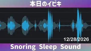 🐽 Snoring Sleep Sound