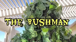 The Bushman costume