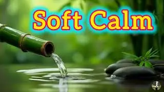 Bamboo Water Serenity 🌿 | Flowing Water Sounds for Deep Sleep, Stress Relief & Peaceful Meditation