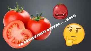10 CURIOZITATI DESPRE ROSII