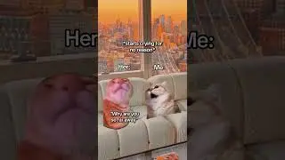 CAT MEMES 🐱It's your GF's time of the month #catmemes #relatable #relationship #shorts