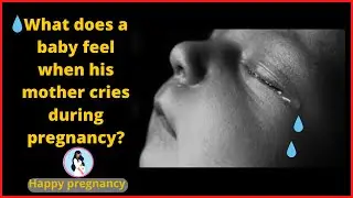 What does a baby feel when his mother cries during pregnancy?