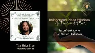 Indigenous Plant Wisdom of Time and Place: Tyson Yunkaporter on Sacred Herbalism