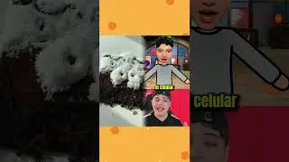 Loved it? Like, comment, subscribe! Let's have more fun. #Youtube #Pov #funny #shorts