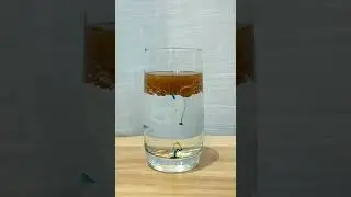 DIY Water Cup Rainbow Rain Experiment #rainbowrainbow #waterexperiments #diyscience