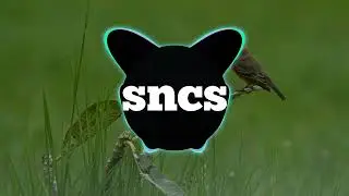Eknow hush & Xaadbsgsh  Vaavb - (sncs song)- no copyright music 