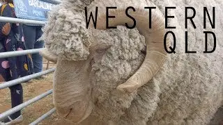 The Isisford Sheep Show and a night at the Wellshot Hotel
