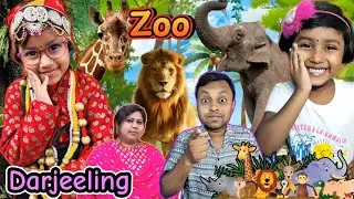 Titi🍭Deklo Darjeeling Zoo🤣🤣||Titir Funny Video #funnyvideo #shortstory #comedy #trishikarimpa