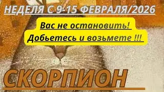 СКОРПИОН ♏️ ТАРОСКОП С 9-15 ФЕВРАЛЯ/2026 от Alisa Belial 