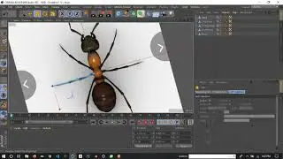 How to create Low poly Ant | Cinema 4D Tutorial | Speed Art | Tamil-ல்