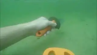 Unterwasser Sondeln mit den Scuba Tector von Deteknix