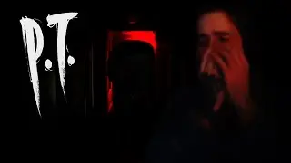P.T. - ПИСЯЕЦА сТРИМЕР
