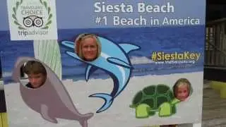 Sunny Florida 2015