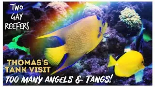 Thomas’s Tank Visit - Too Many Angels & Tangs! Exclusive Look
