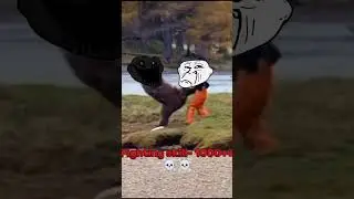 Bear vs man........ #shorts #viral #bear#man#fight#kungfu #kungfubear#edit#trollface #trollfaceedit
