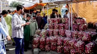 Apples and Apricots of Maidan Shar in Panjsad family square/ سیب و زردآلوی میدان شهر در پنجصد فامیلی