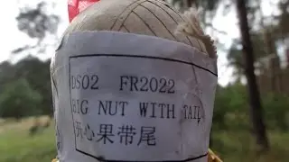 Blitzbombe Kugelbombe Saluteshell 2 BIG NUT