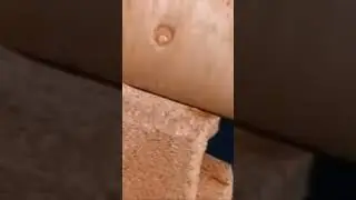 Shake Hands With Danger