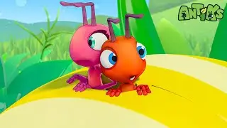Ants Hatch Out Of Egg?! 🥚 Hebrew Cartoons for Kids | Anime | Antiks - Antiks In Hebrew